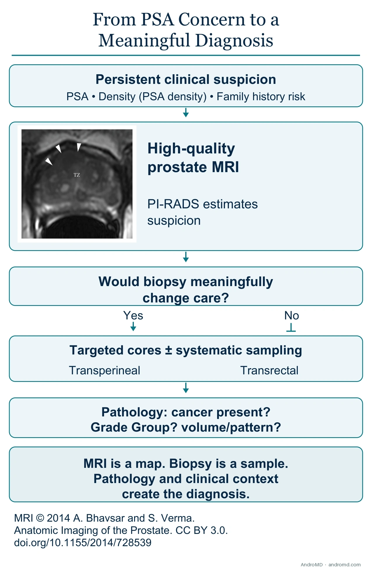 From PSA Concern to a Meaningful Diagnosis