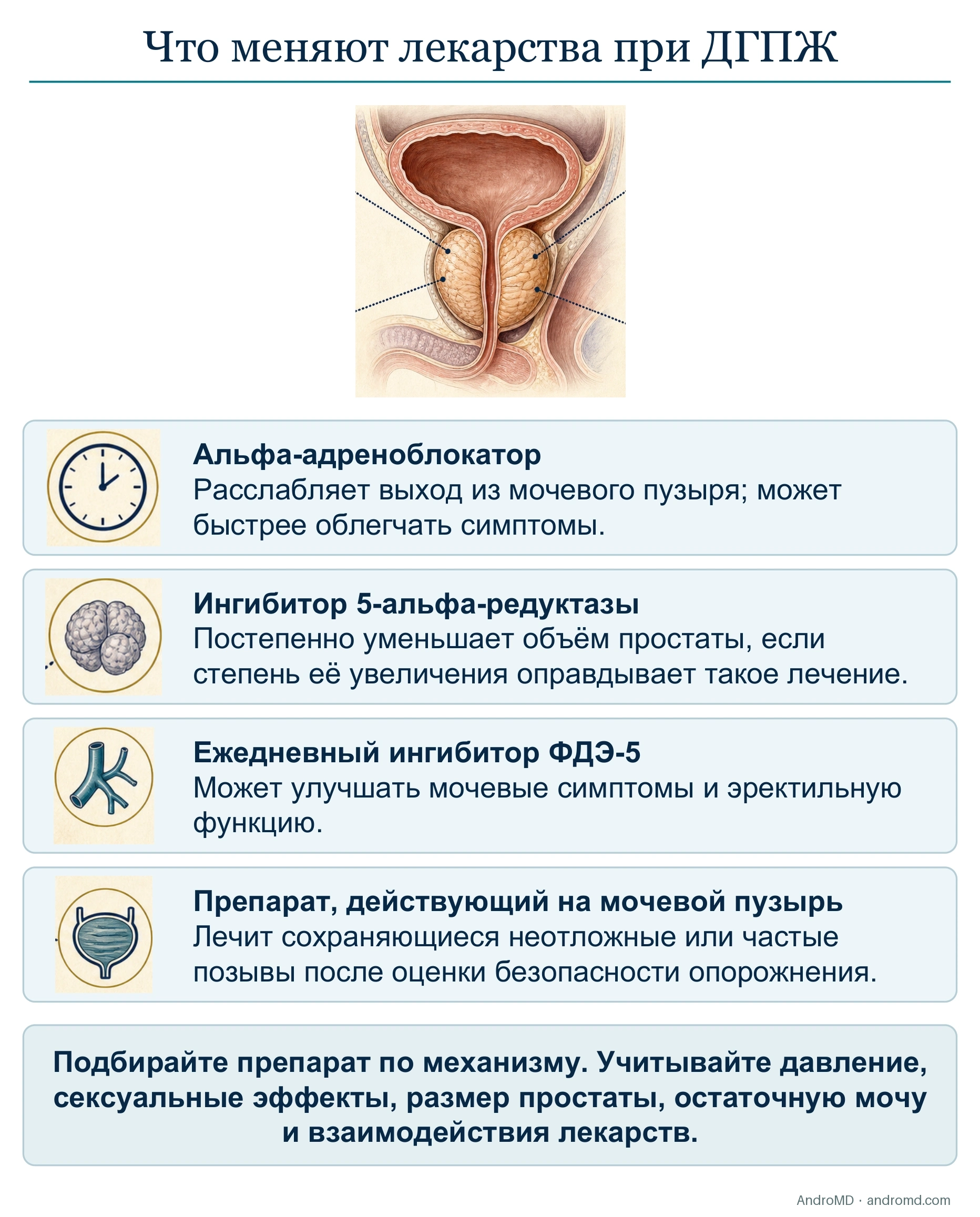 Что меняют лекарства при ДГПЖ