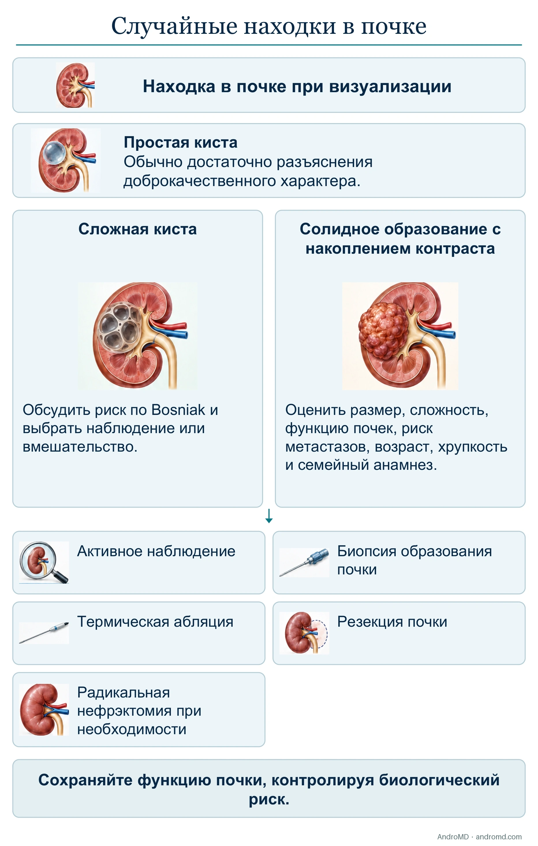 Случайные находки в почке