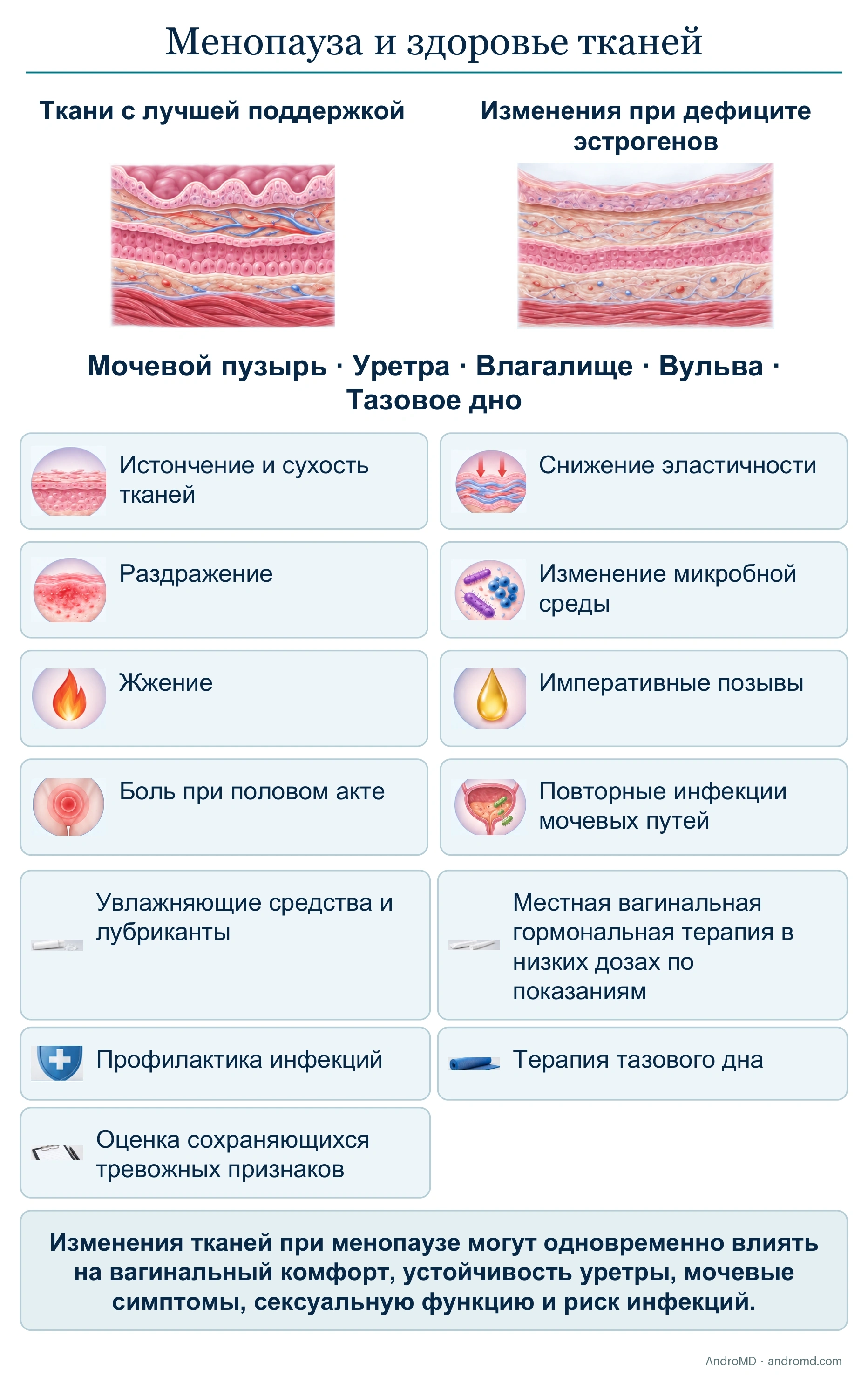 Менопауза и здоровье тканей