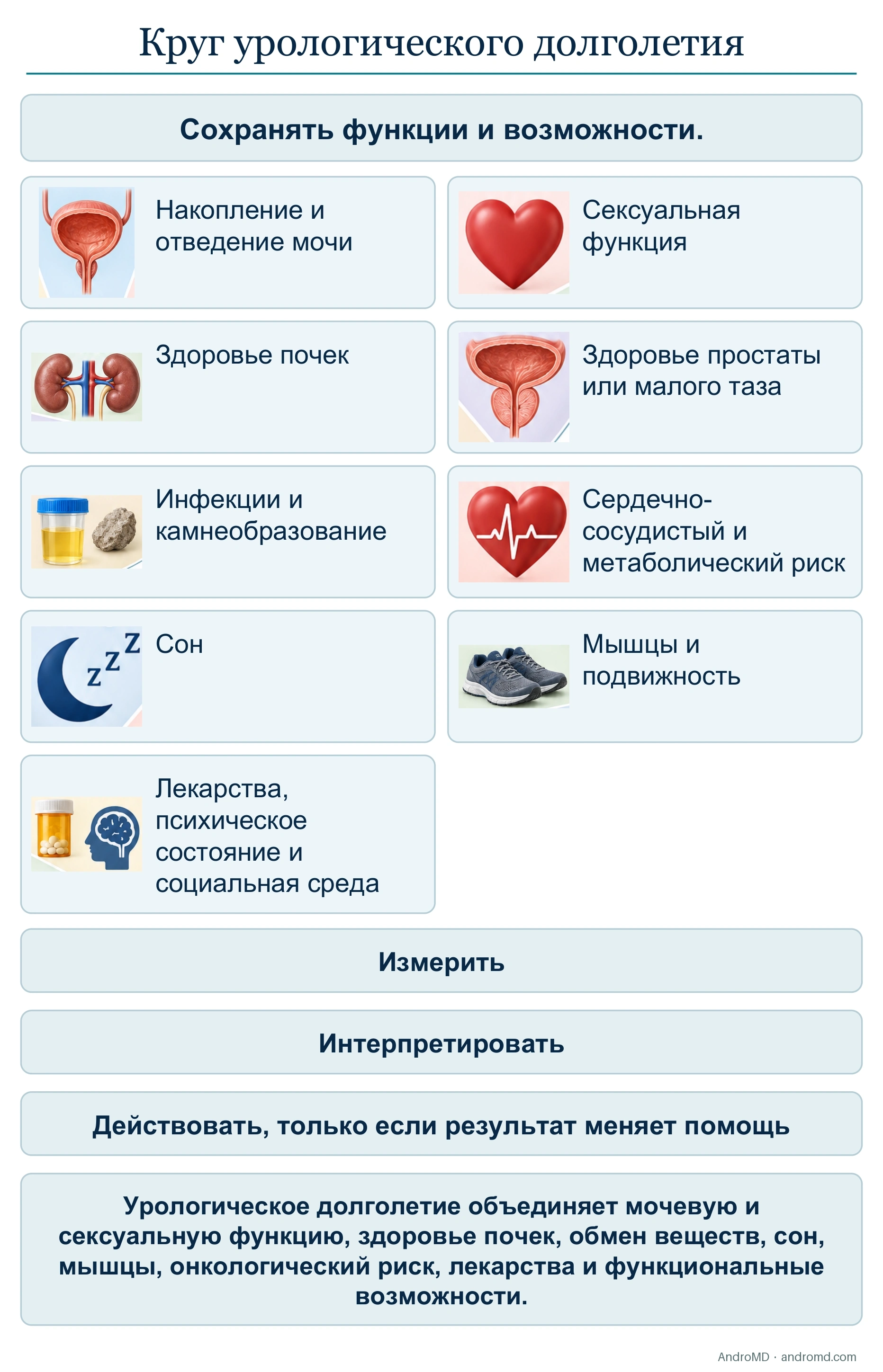 Круг урологического долголетия